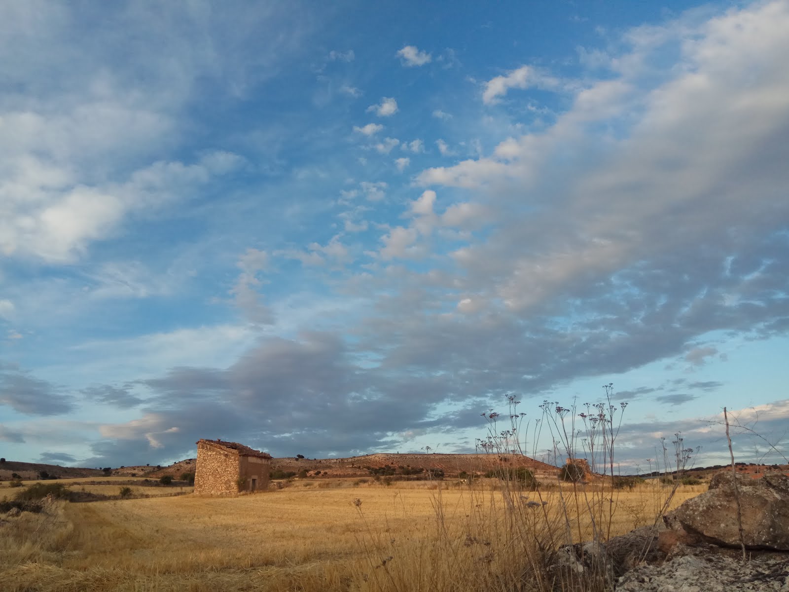 Postal de año nuevo
