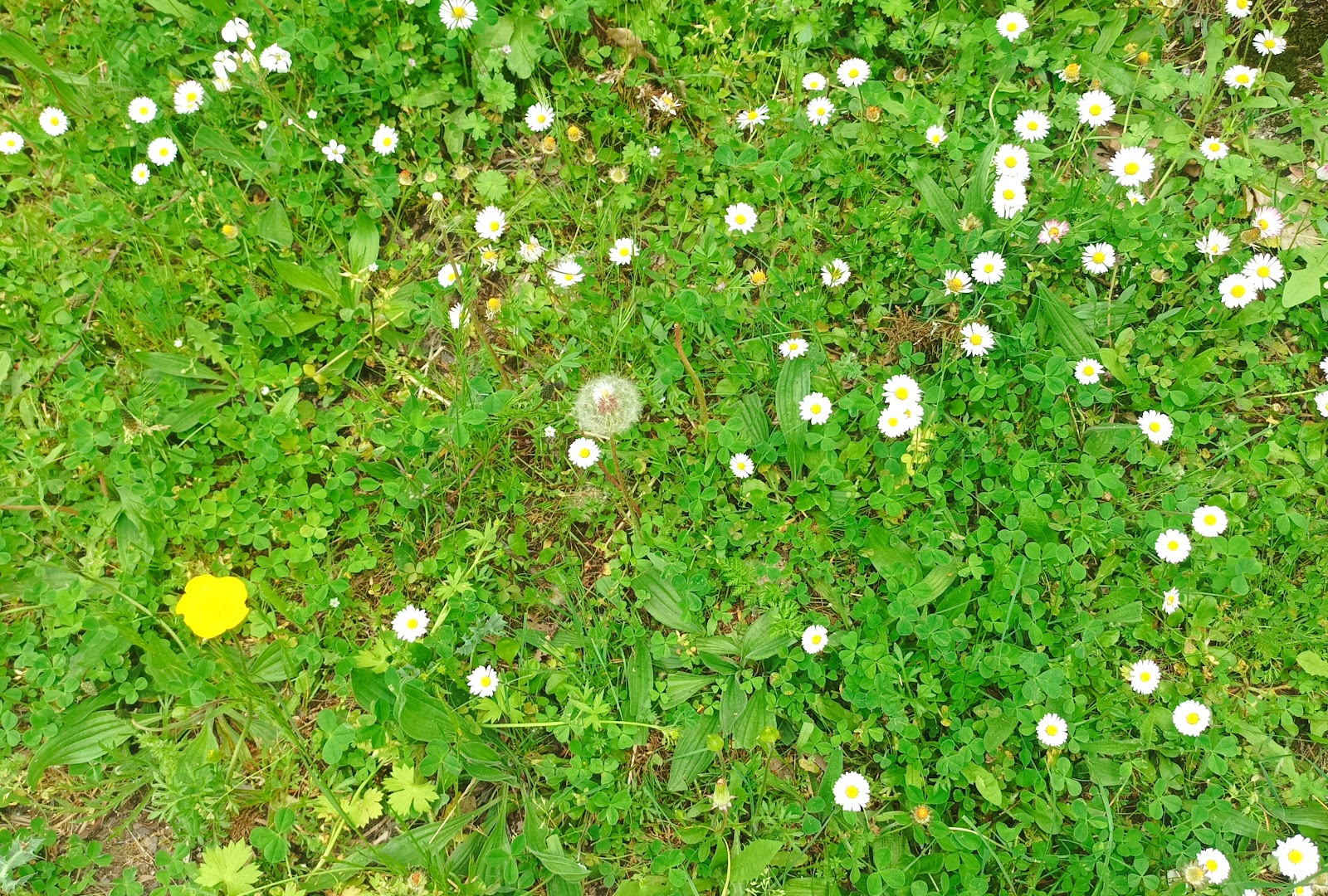Libros de primavera