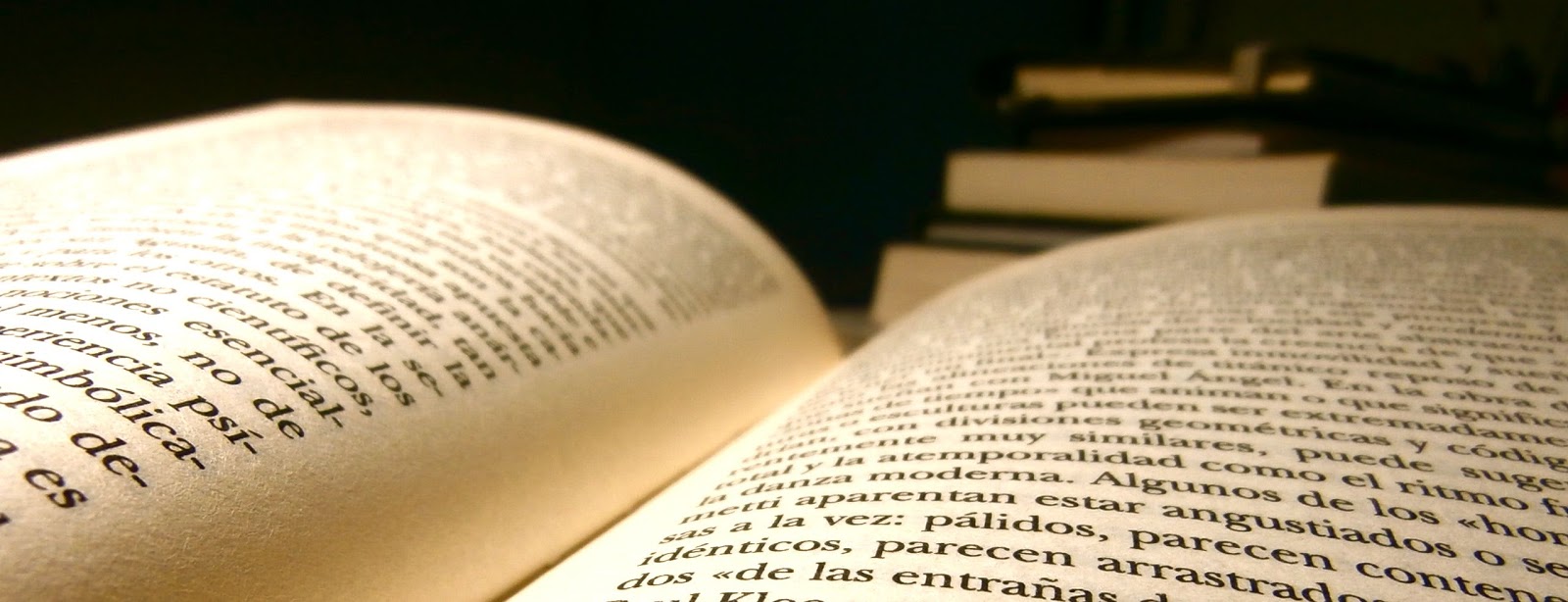 Palabra, lenguaje, libro