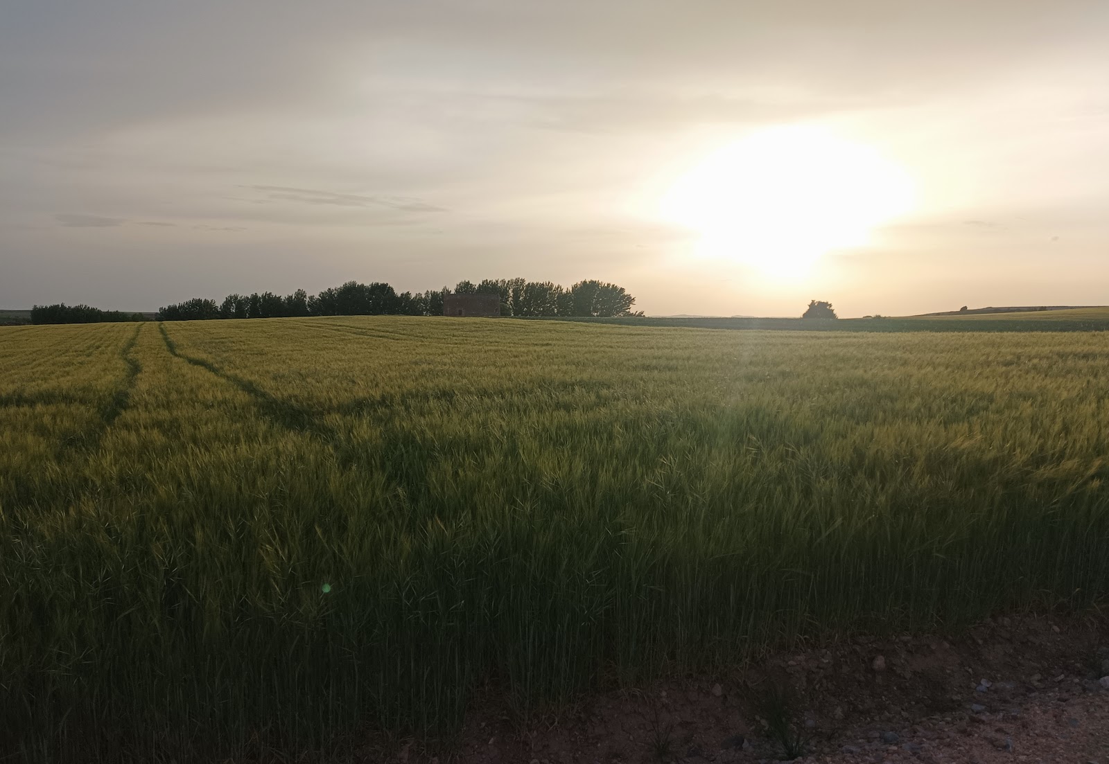 El fin de la vida campesina