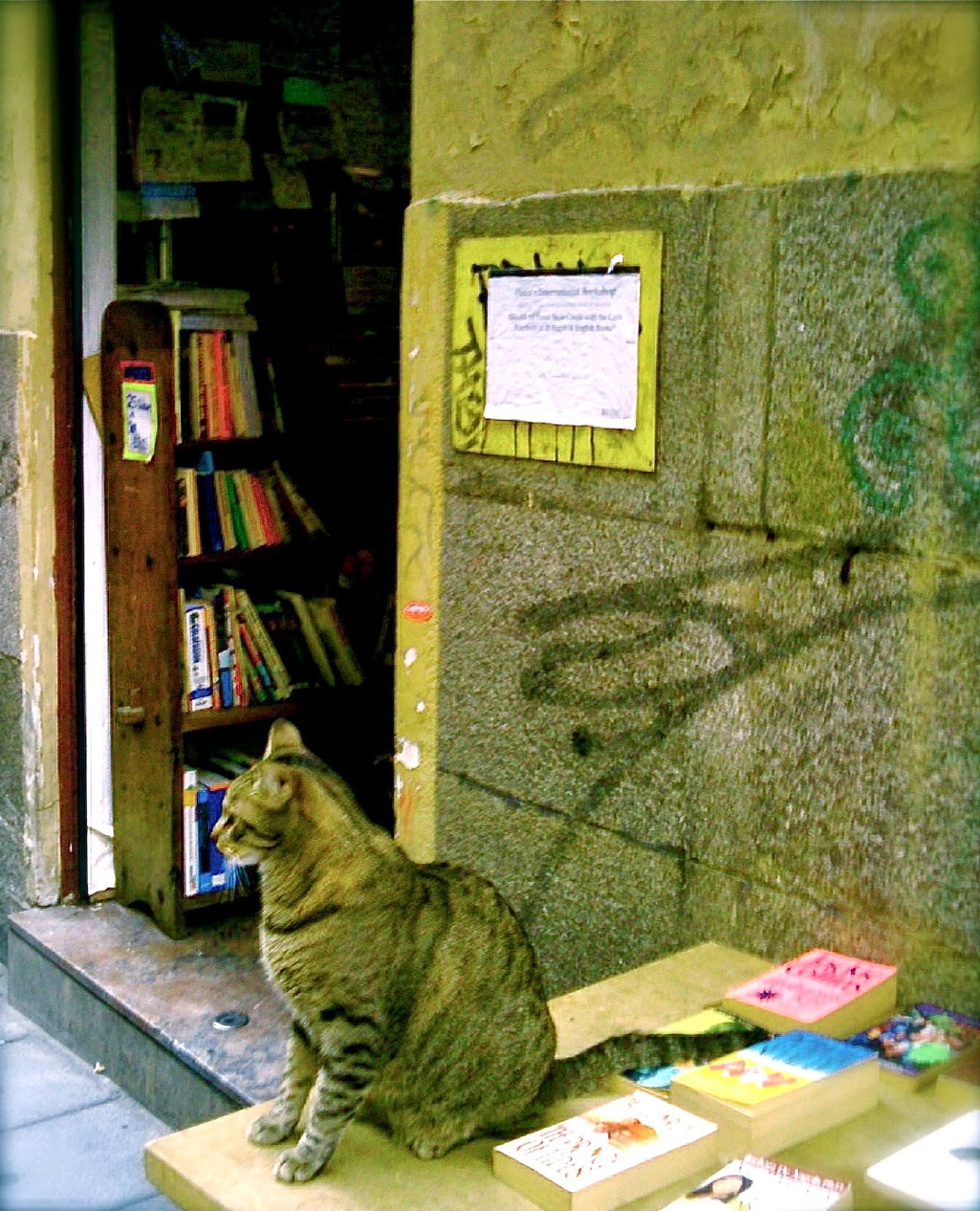 Son los libros, estúpido