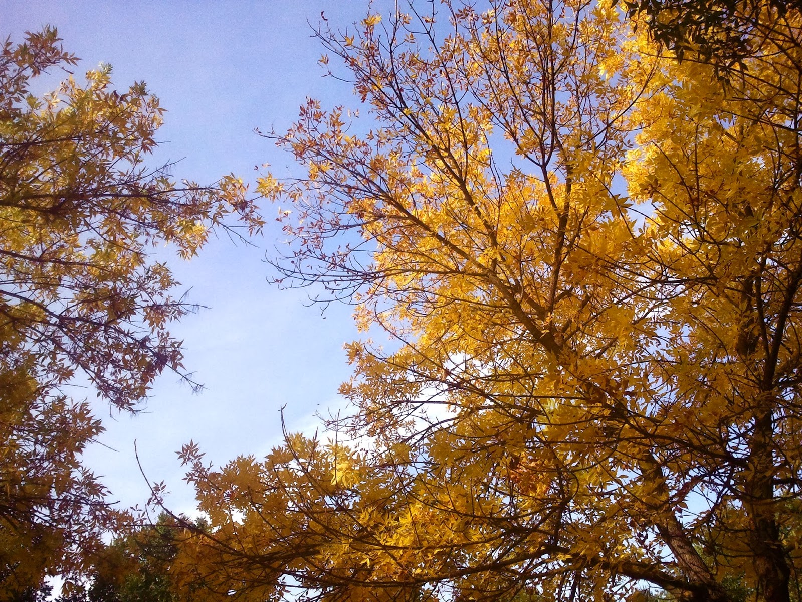 Octubre