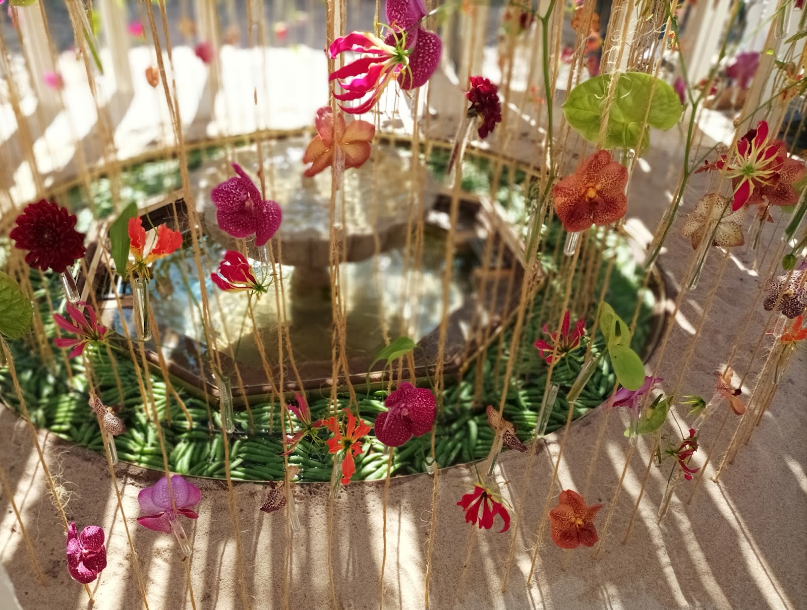 La fuerza de las flores